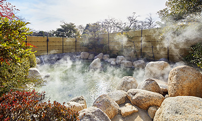 冬暁に身体の芯から温まる贅沢,源泉かけ流し,湯の山温泉,三重県